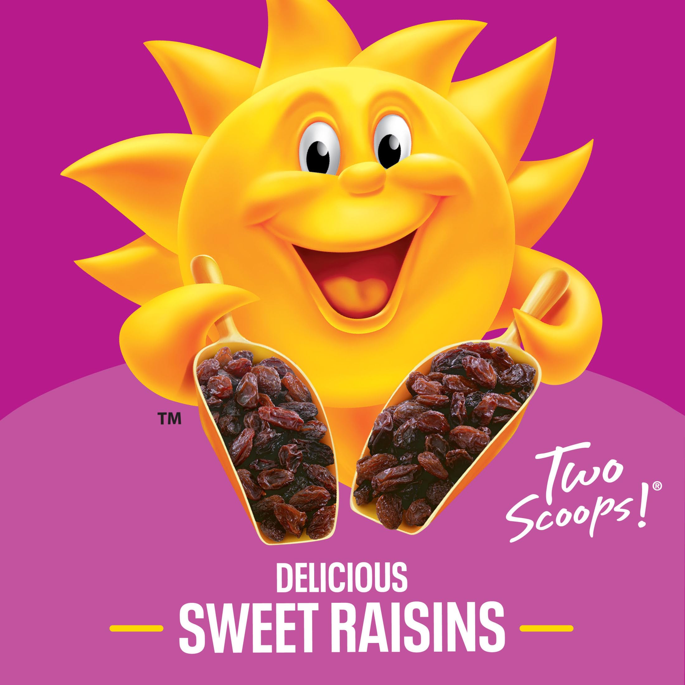 Kellogg's Raisin Bran sun-ripened raisins close-up
