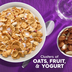 Kellogg's Special K real oat clusters closeup highlighting crunchy texture and fruit flavor.