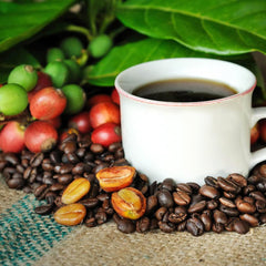 Keokea Coffee Co Big Island Hawaii farm scene