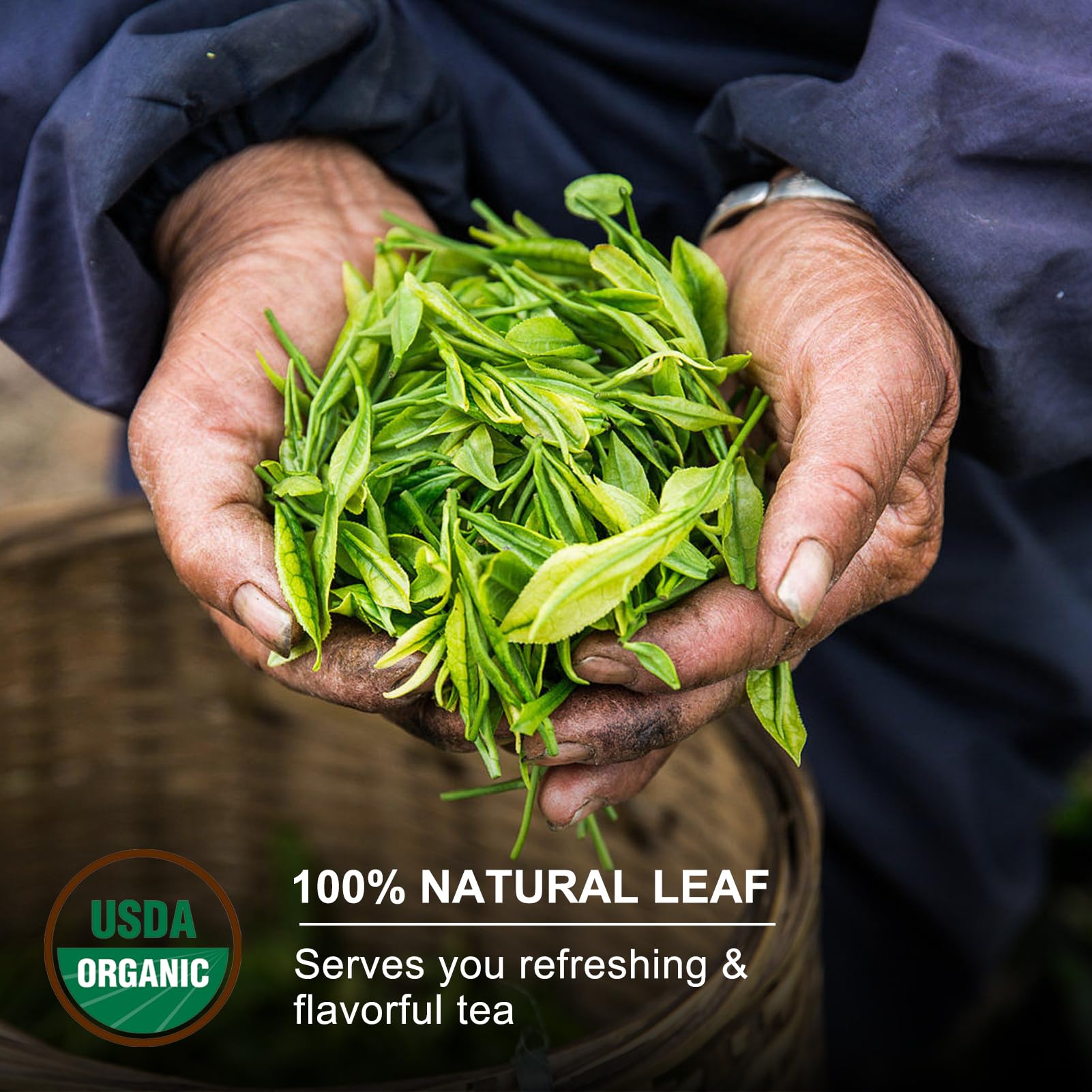 KHS Premium White Tea dry leaves close-up shows gray-green buds and classic aroma.