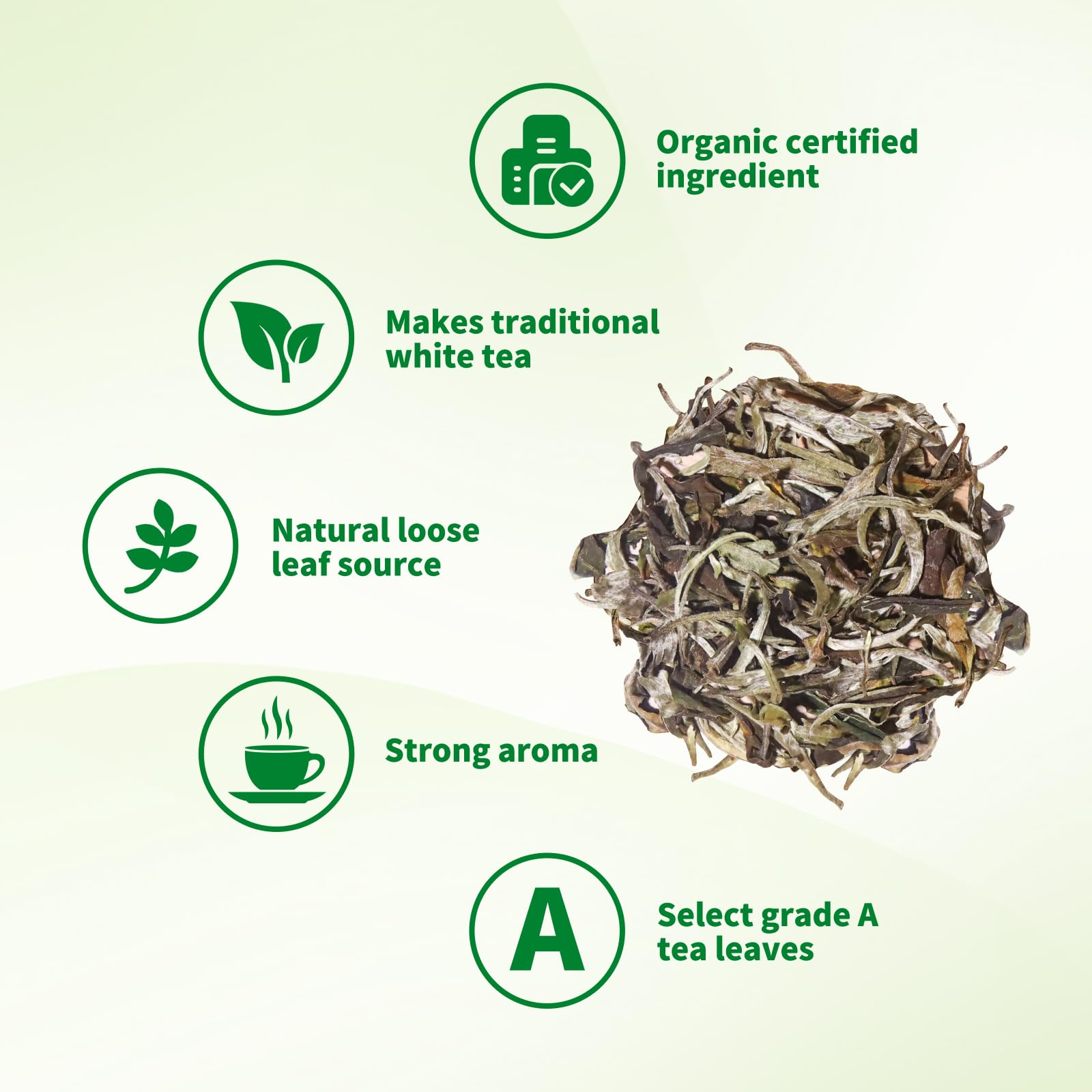 KHS Premium Organic White Tea infusion brews a mellow flavor with a smooth finish.