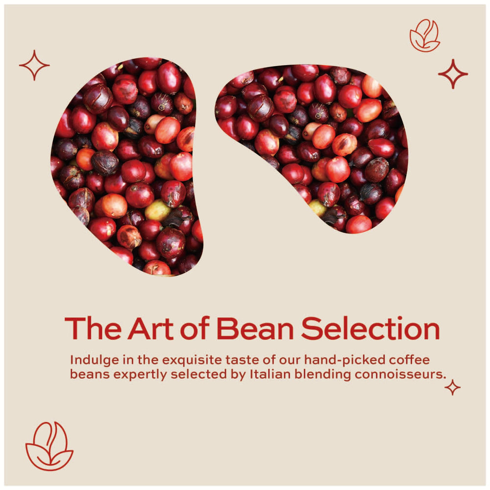 Kimbo Espresso Napoli beans closeup emphasizing rich body and sweetness.