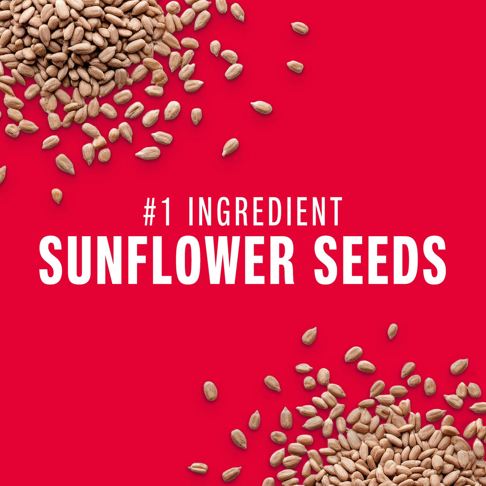 Plant-based oat milk drizzle atop a KIND Seeds bar