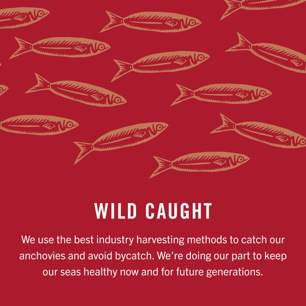 King Oscar anchovies wild caught label indicating sustainability.