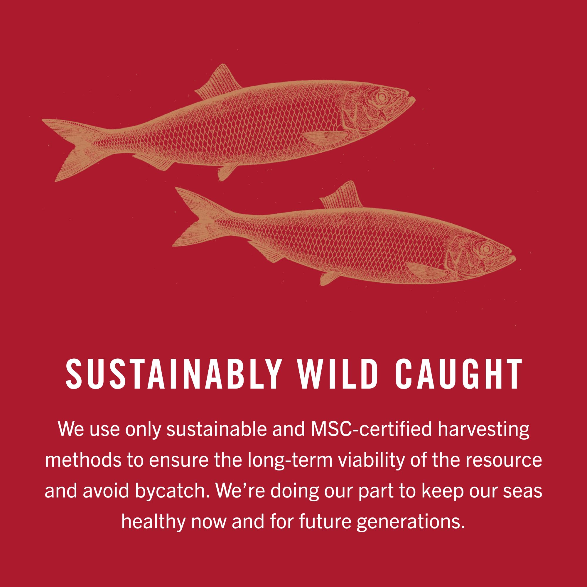King Oscar sustainable wild-caught kippers with MSC certification.