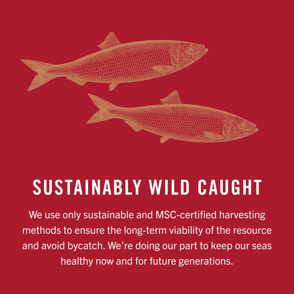 King Oscar sustainable wild-caught kippers with MSC certification.
