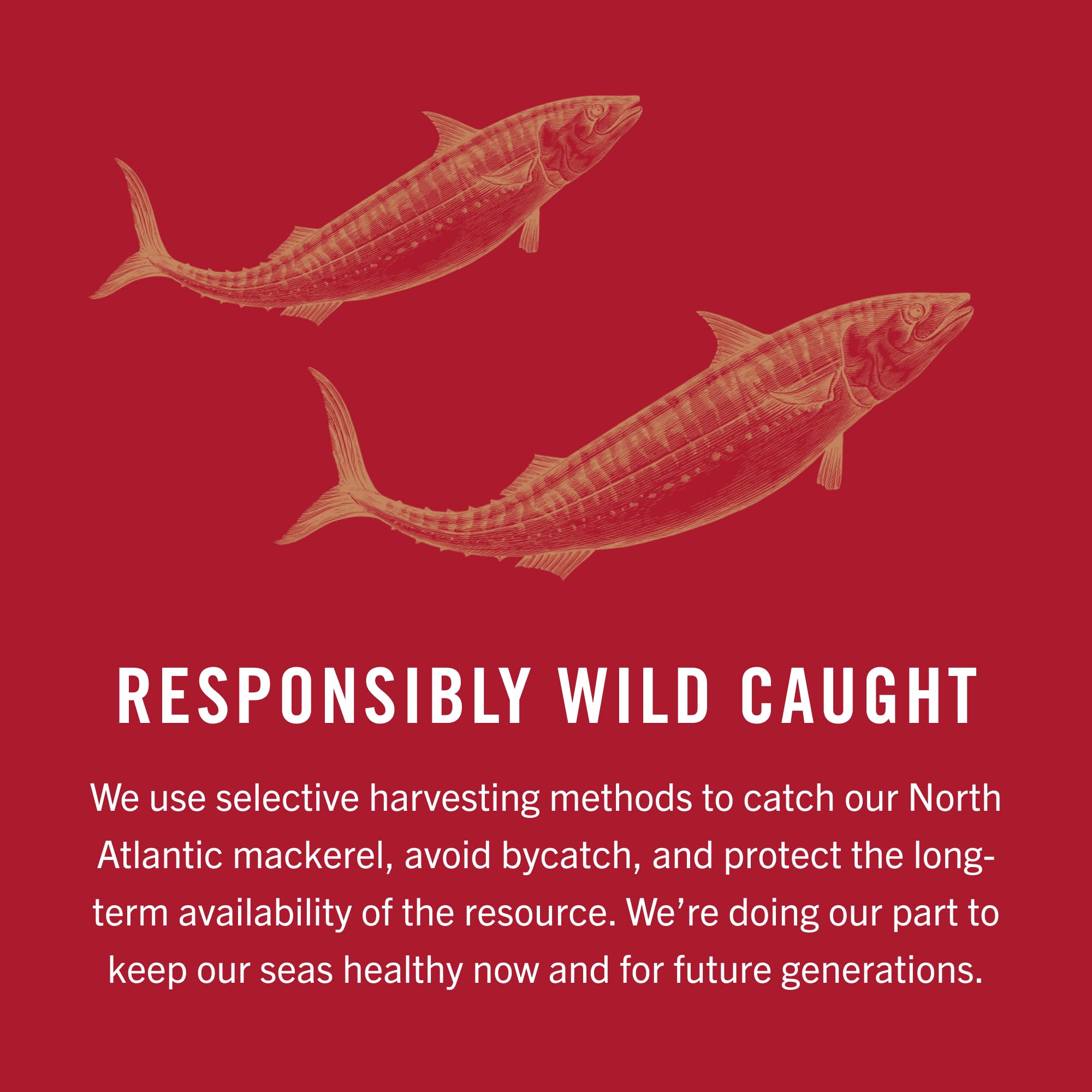King Oscar mackerel stored on a pantry shelf for fast meals.