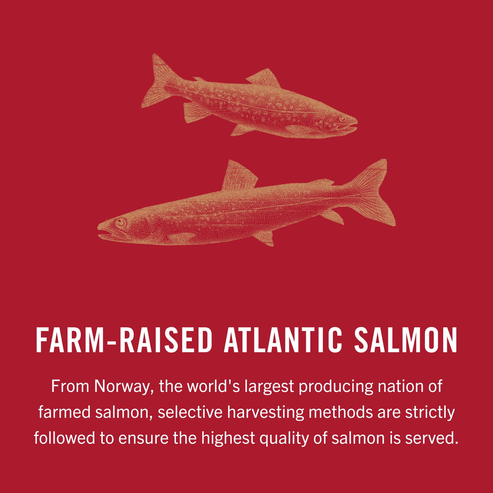 King Oscar salmon sandwich assembly, quick and tasty on-the-go