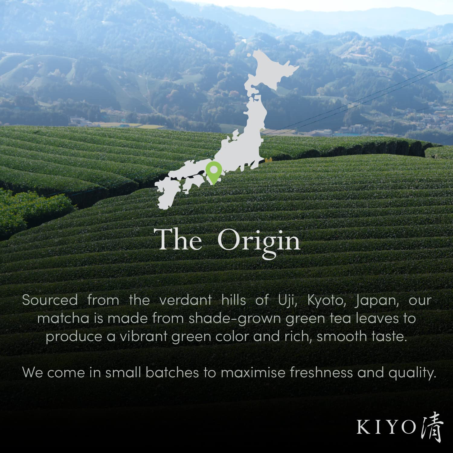 Kiyo Matcha 40g tin with pull-tab lid for convenient ceremonial moments