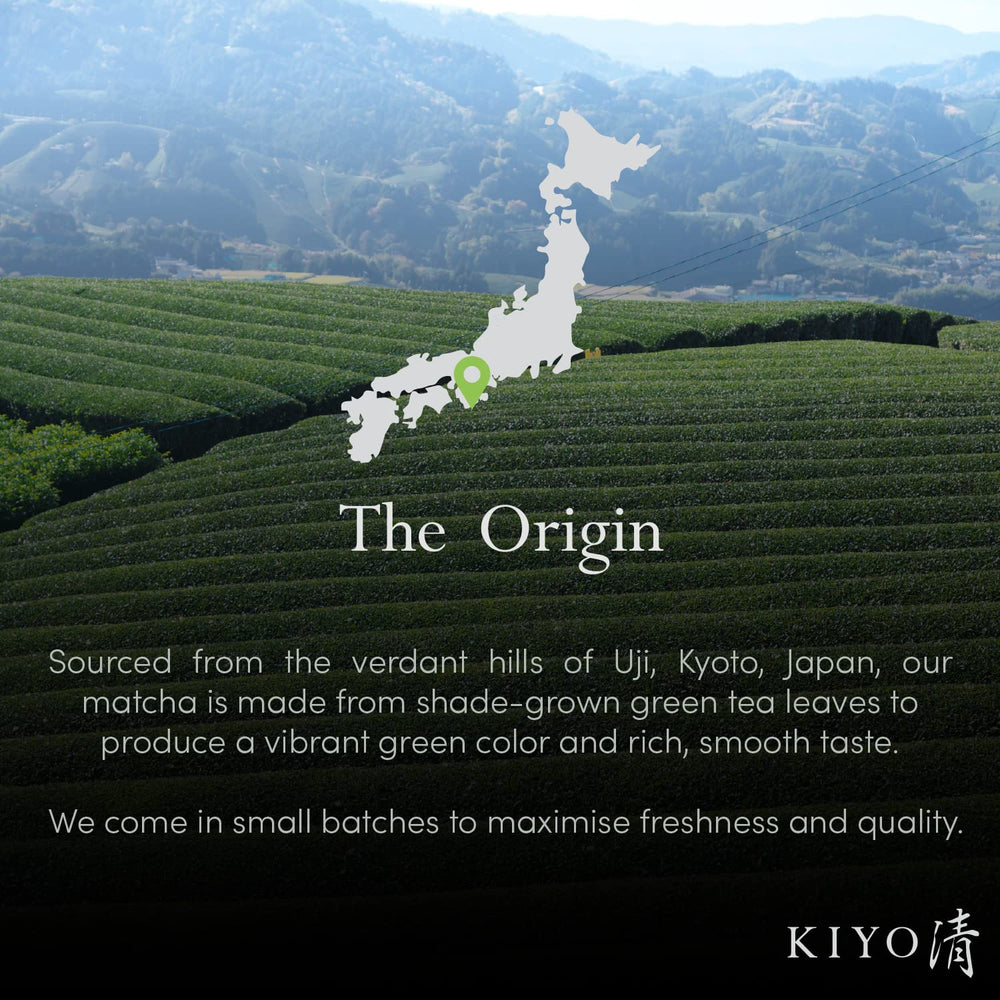 Kiyo Matcha Hatsumukashi fresh leaves harvest closeup indicates early season quality