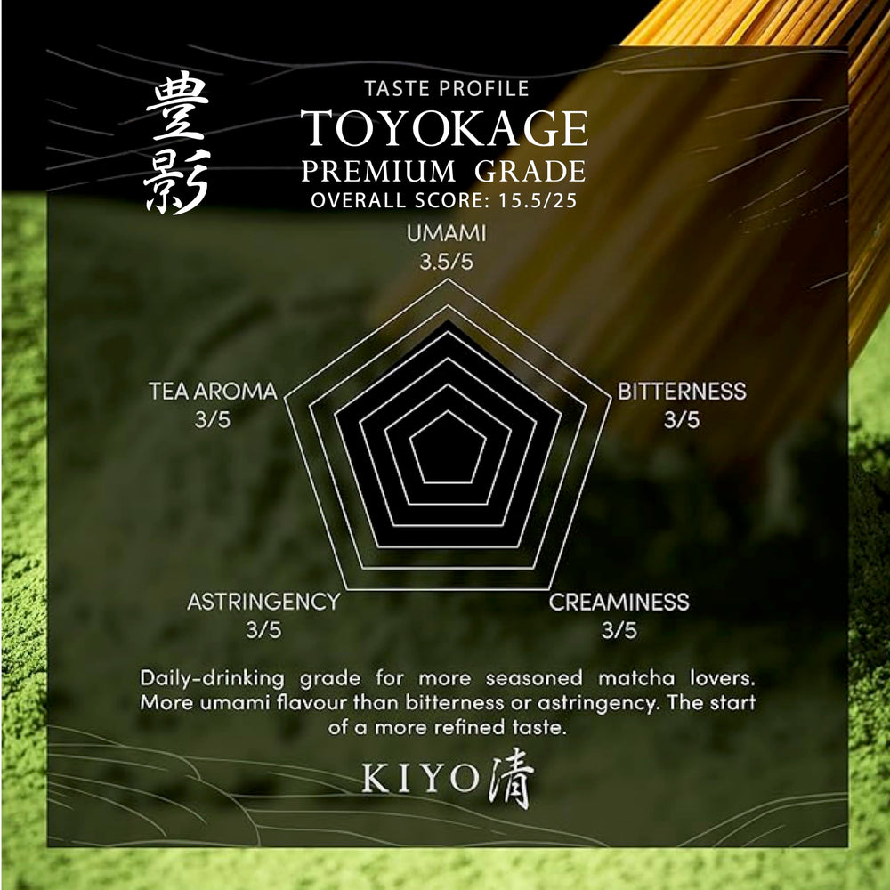 Kiyo Matcha Uji leaves close-up shows shade-grown harvest and vibrant green colour