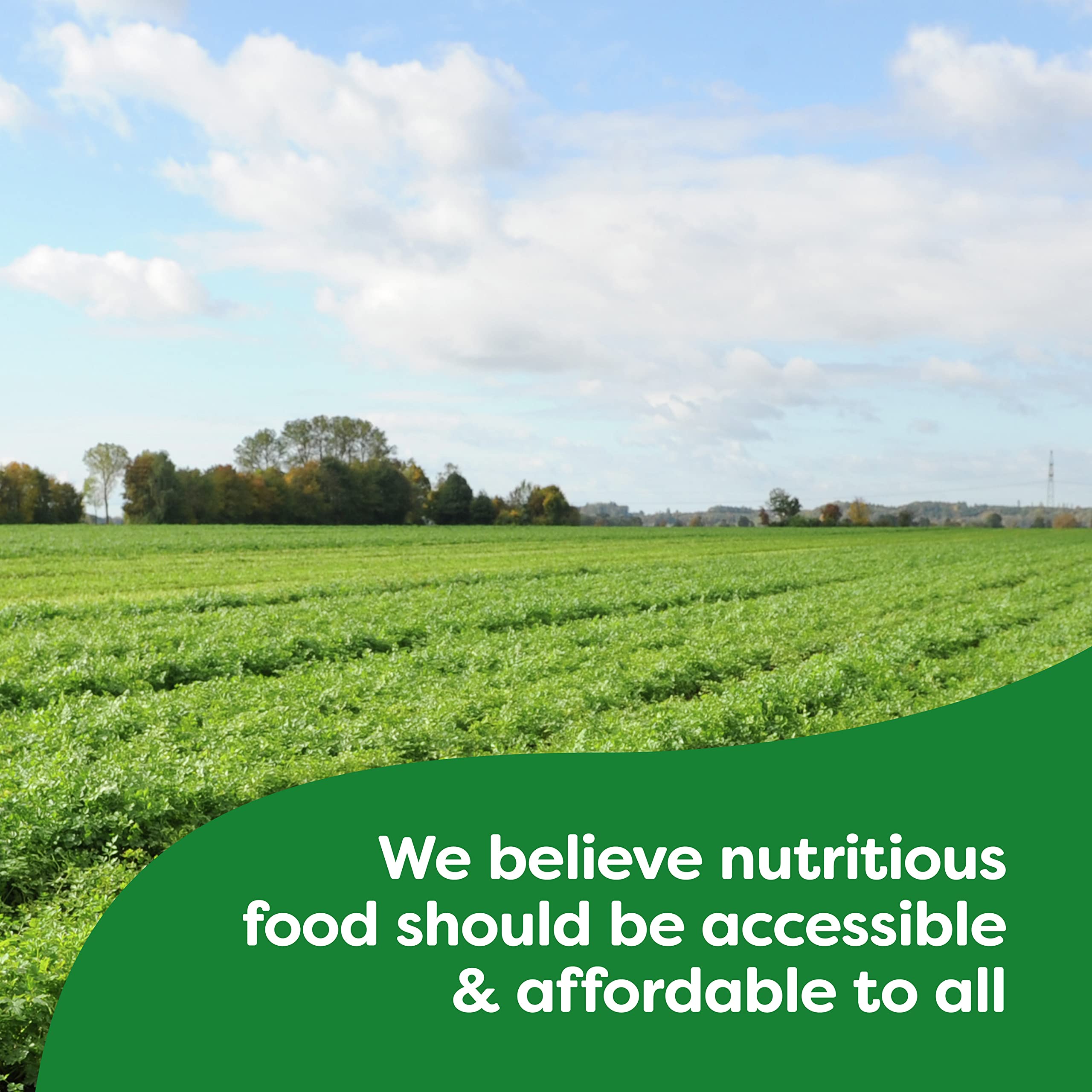 Knorr Pasta Sides label highlighting no artificial flavors or preservatives