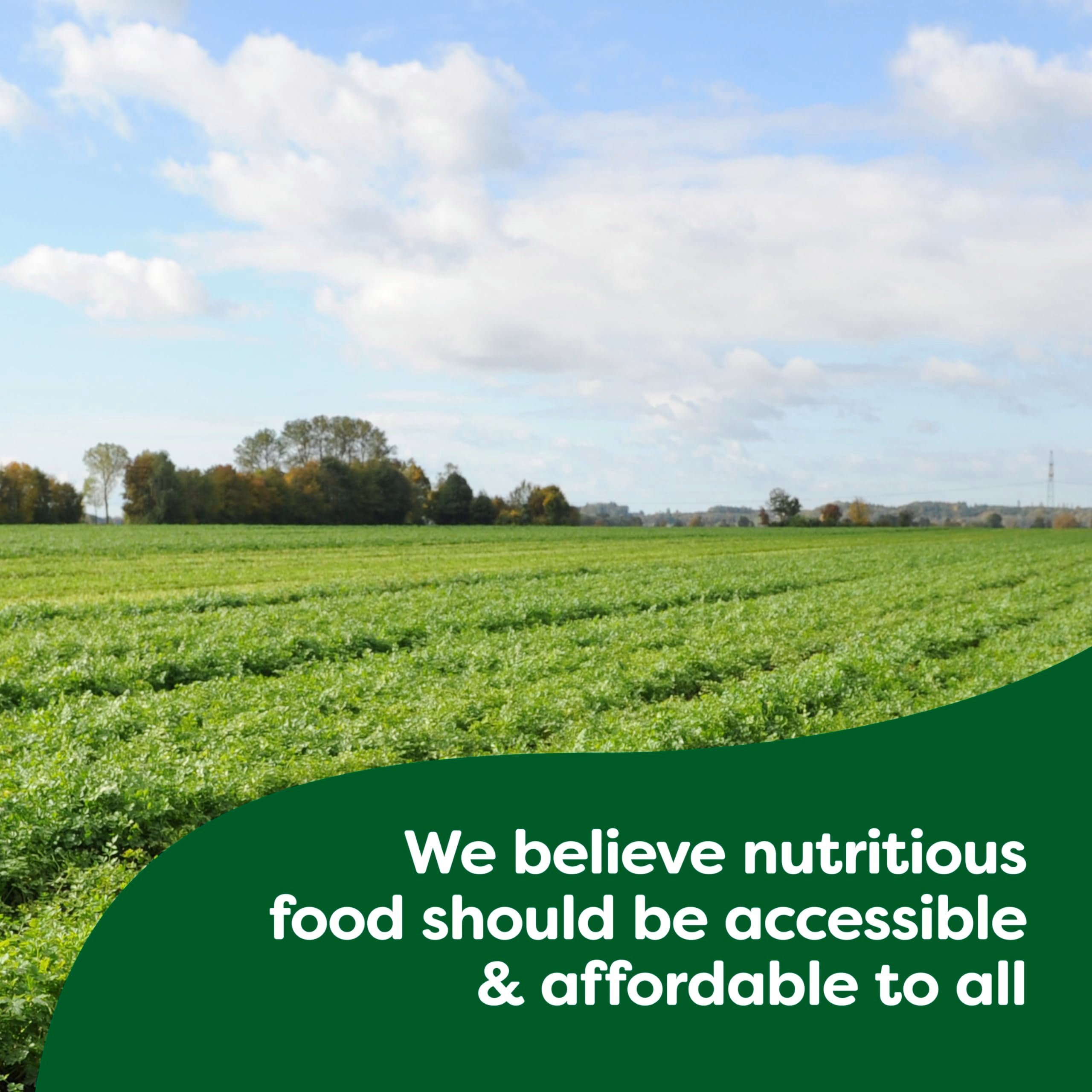 Knorr pesto pantry pack kept on a kitchen shelf for versatile meals.