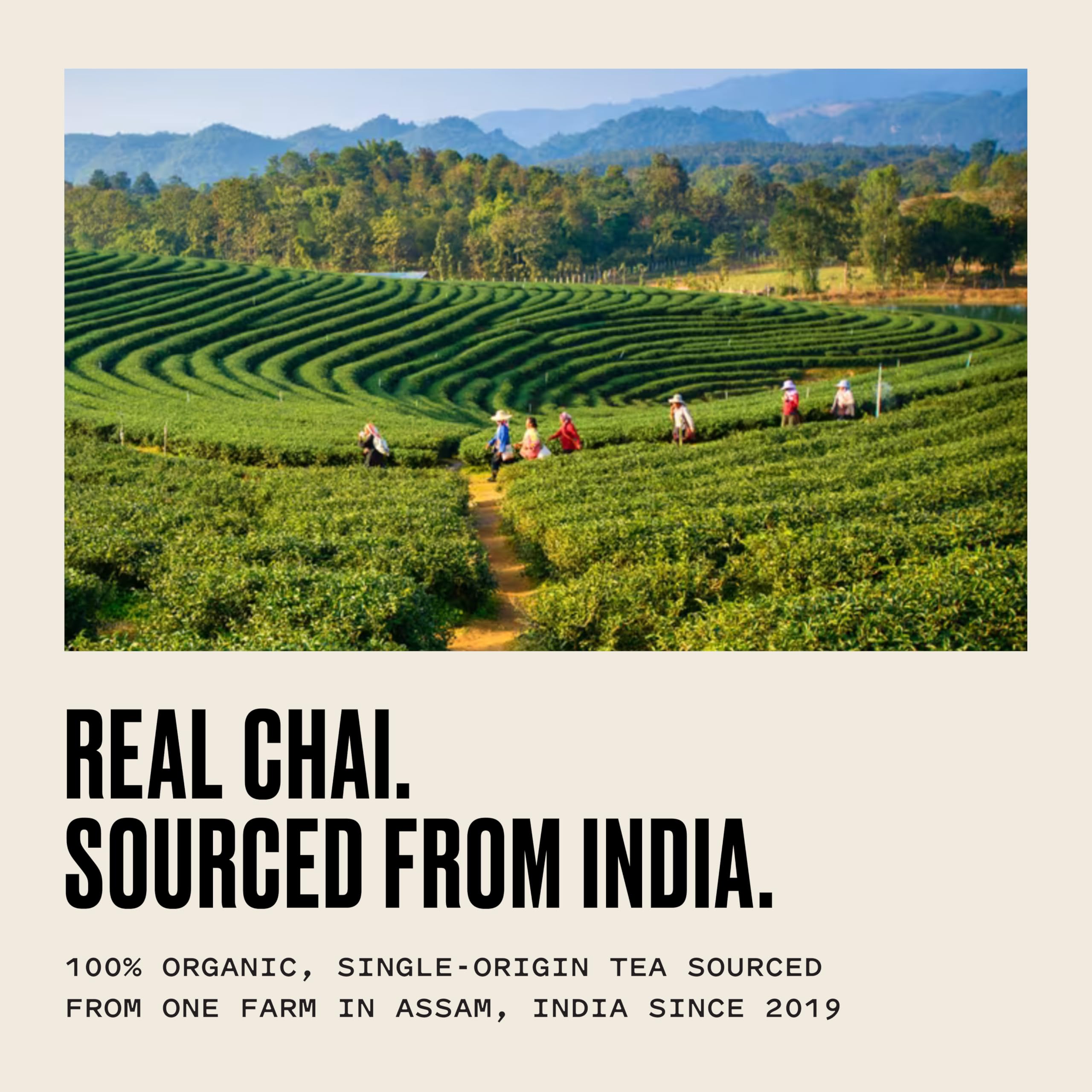 Kolkata Chai Co zero-plastic tea bags for eco-friendly brewing