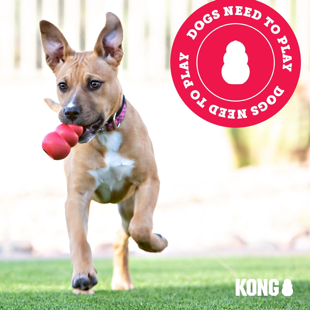 KONG Stuff’N enhances training rewards with flavorful, mess-free stuffing.