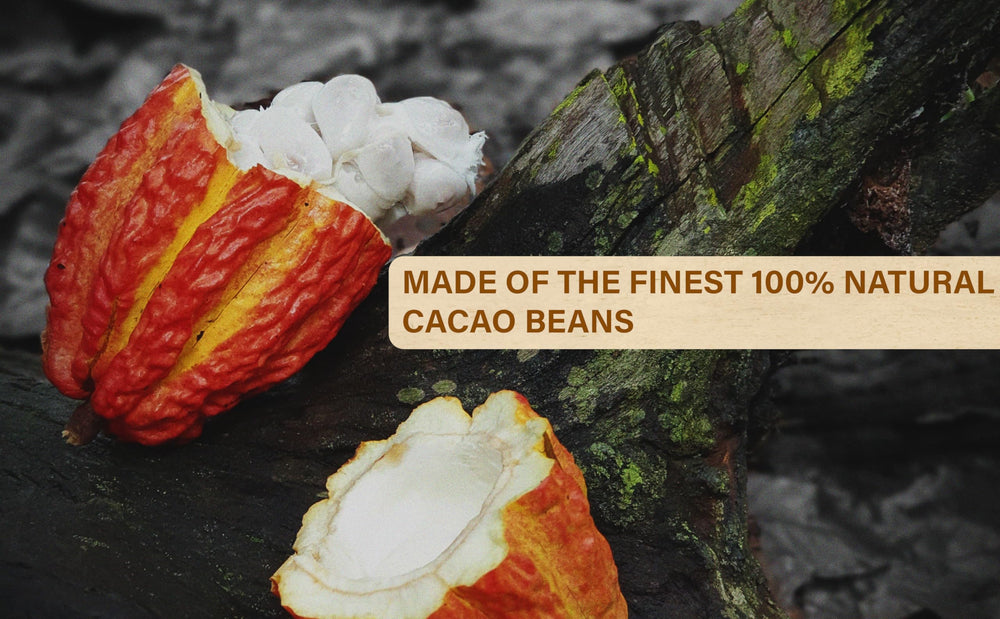 KORACAO brand sustainability story image emphasizes ethical sourcing.