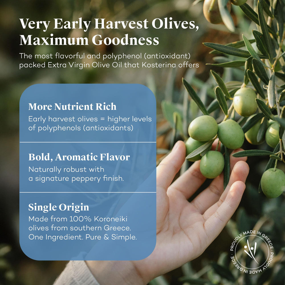 Kosterina Greek olive trees harvest scene conveys authentic origin.