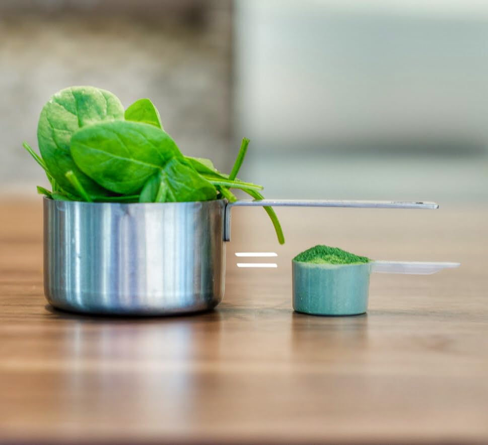 KOYAH Spinach Powder made from USA-grown spinach ensuring clean labels.