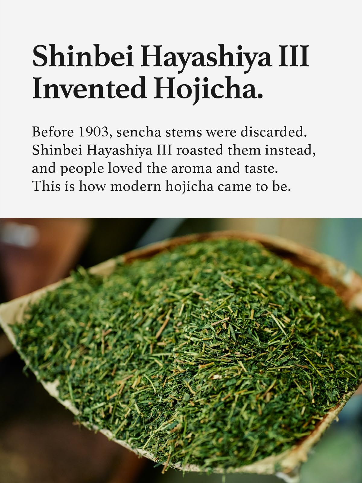 Closeup of KYOHAYASHIYA hojicha powder showing fine texture and aroma.