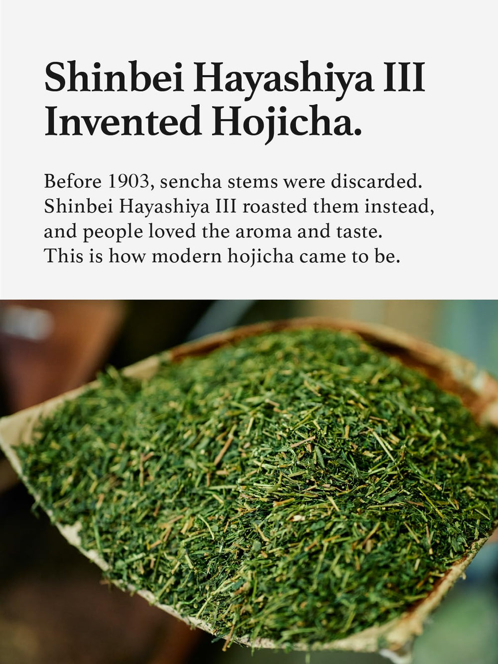 Closeup of KYOHAYASHIYA hojicha powder showing fine texture and aroma.