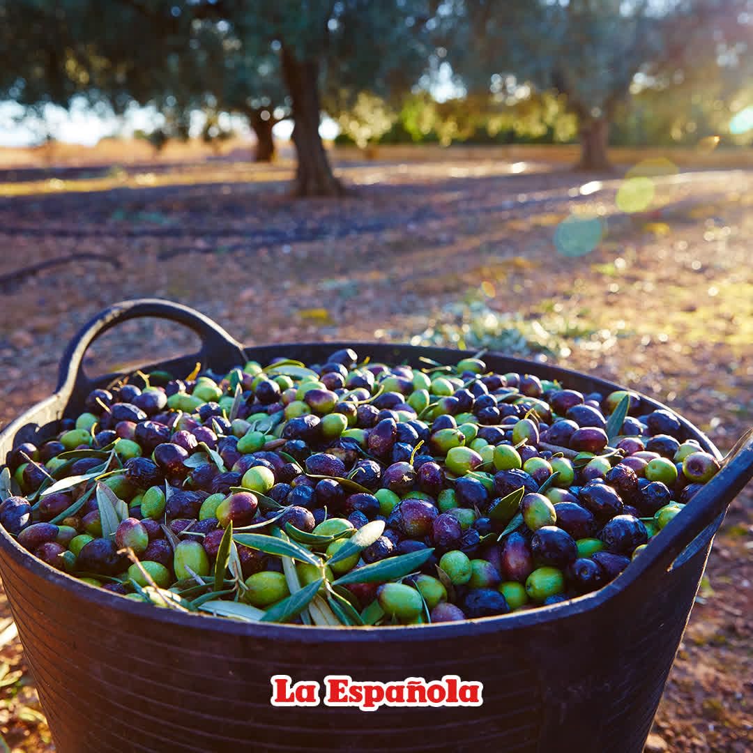 La Española EVOO high smoke point supports sautéing and searing