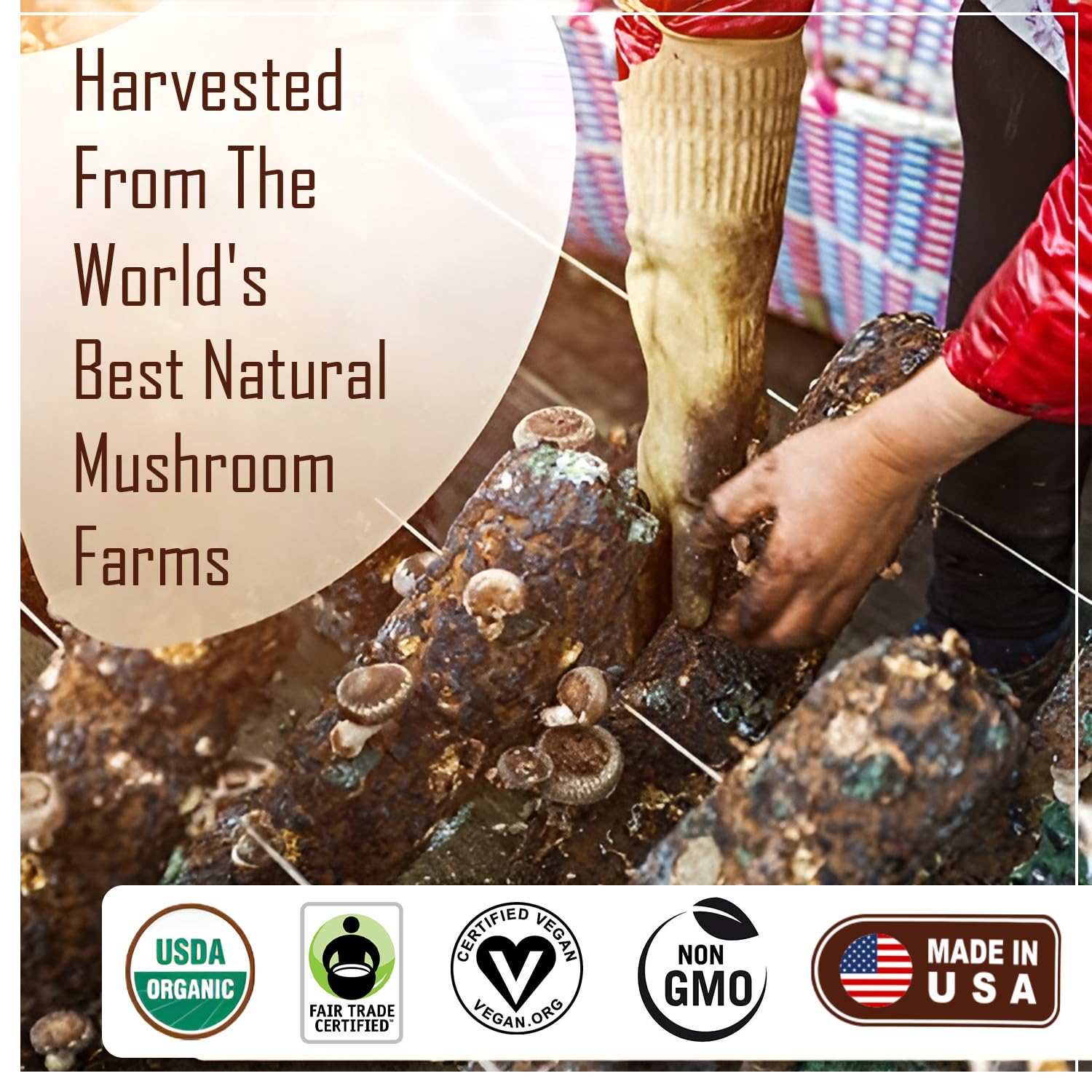La Republica organic label and BPA-free jar packaging signals eco-friendly quality.