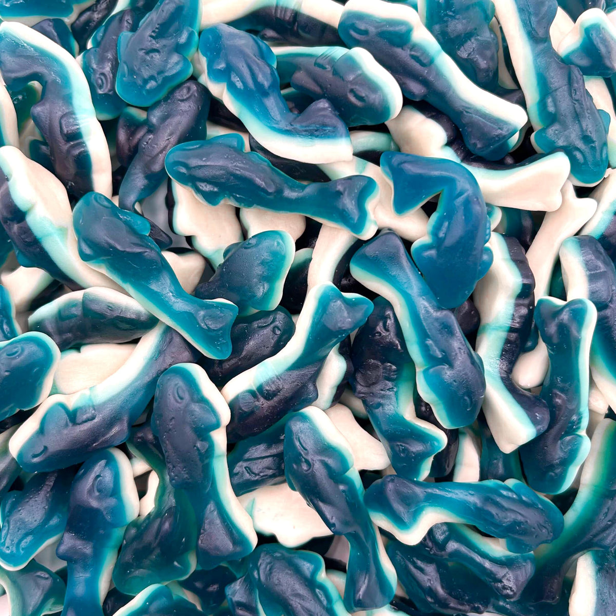 LAETAFOOD Blue Sharks gummy with blueberry side delivers a tangy, chewy bite