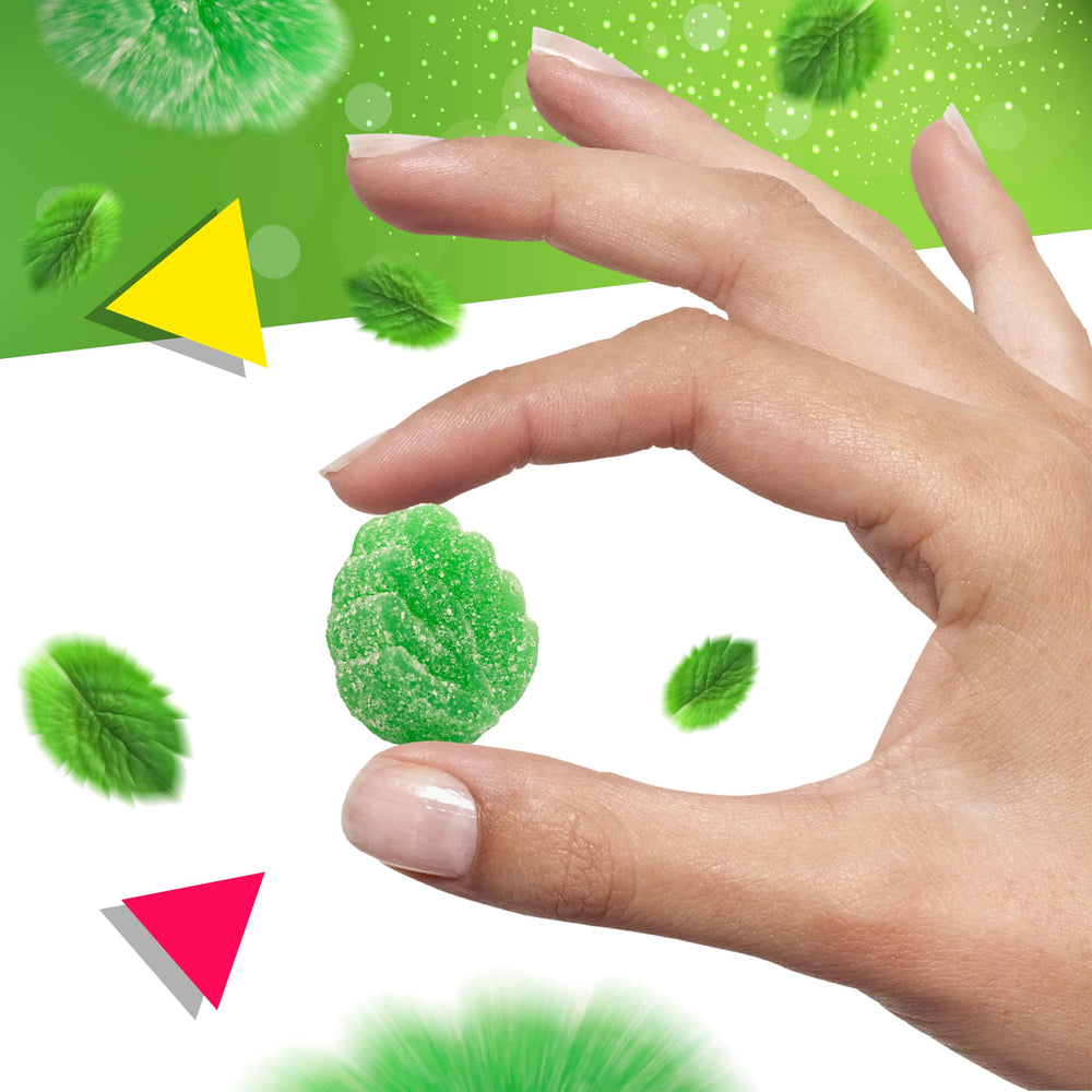 LAETAFOOD spearmint leaves candy serving at office, reviving moment