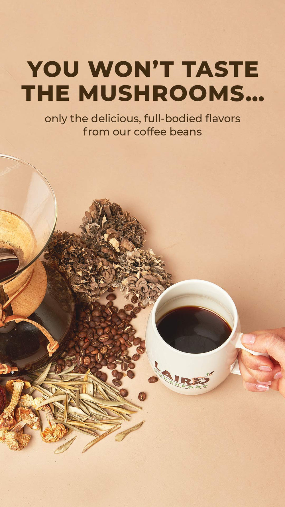 Laird Superfood Boost Coffee ingredients closeup with mushrooms and olive leaf