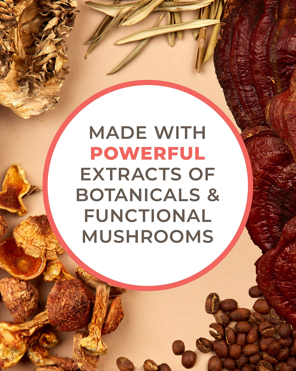 Laird Superfood Boost Coffee morning routine image suggesting energizing start