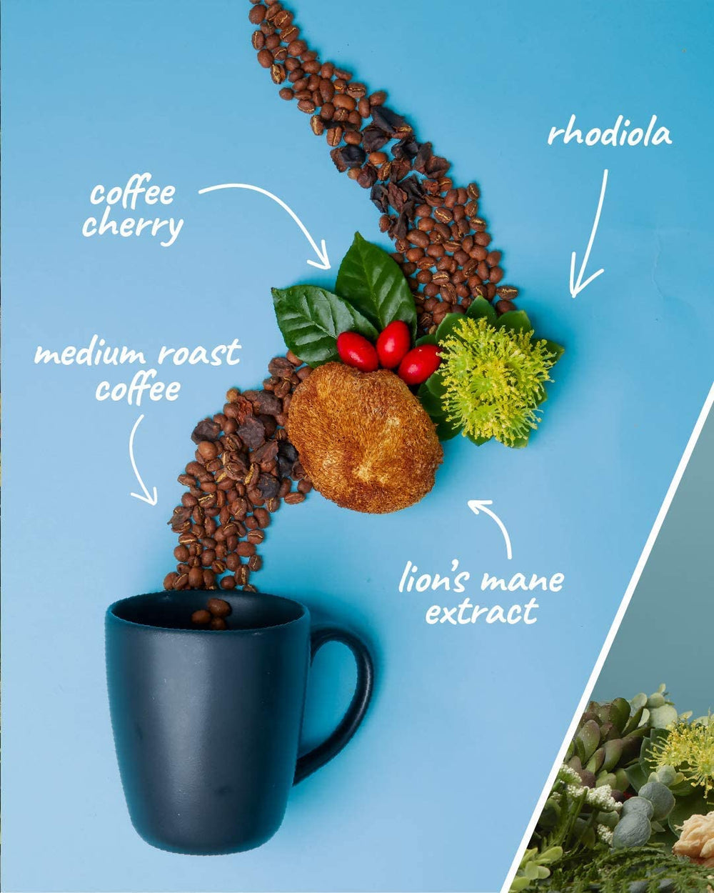 Laird Superfood Focus Brewed cup steaming with inviting aroma and full body.