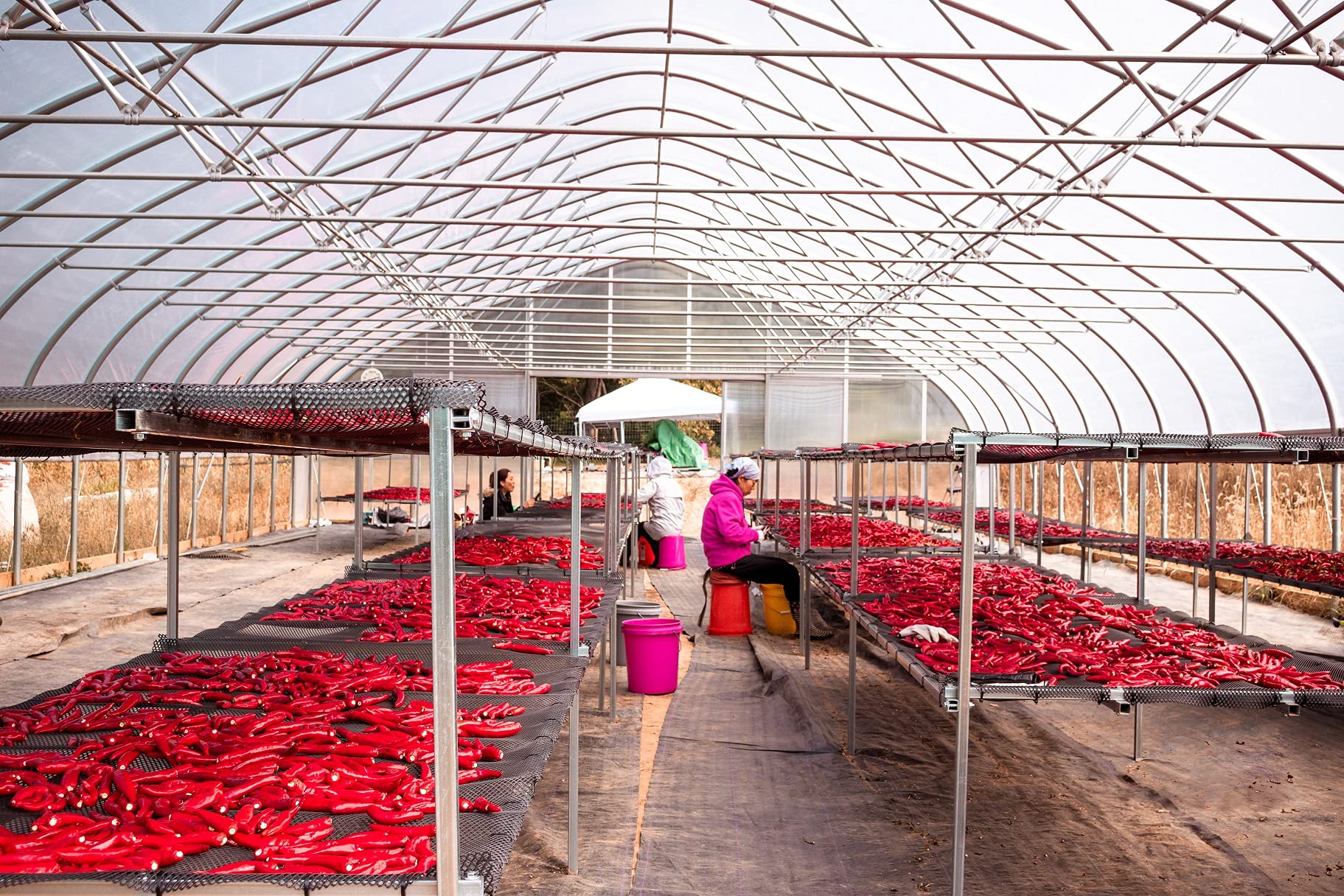 Lakehouse Farms organic certification stamp reinforces clean sourcing.