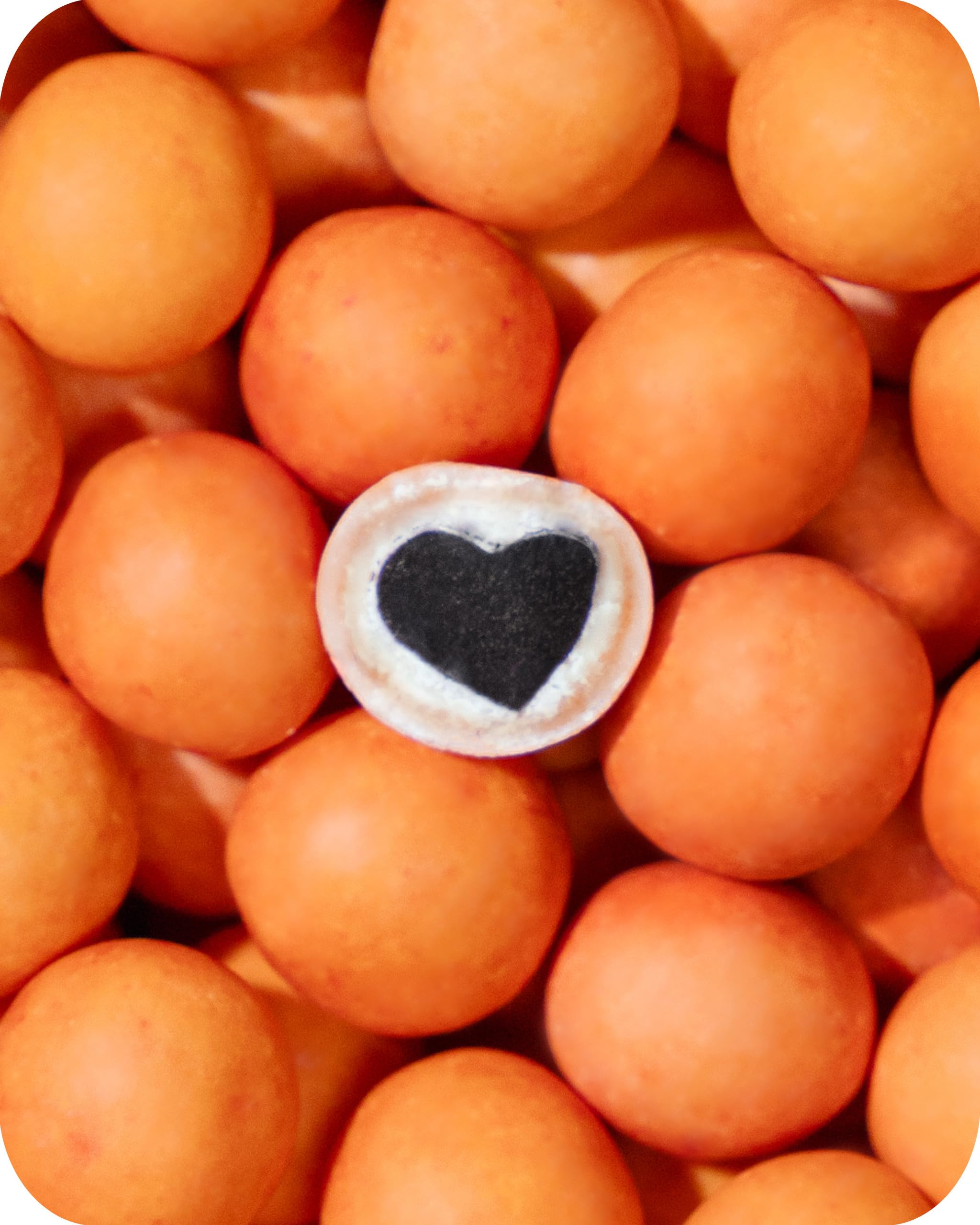 LAKRIDS BY BULOW Peaches crisp sugar shell adds texture