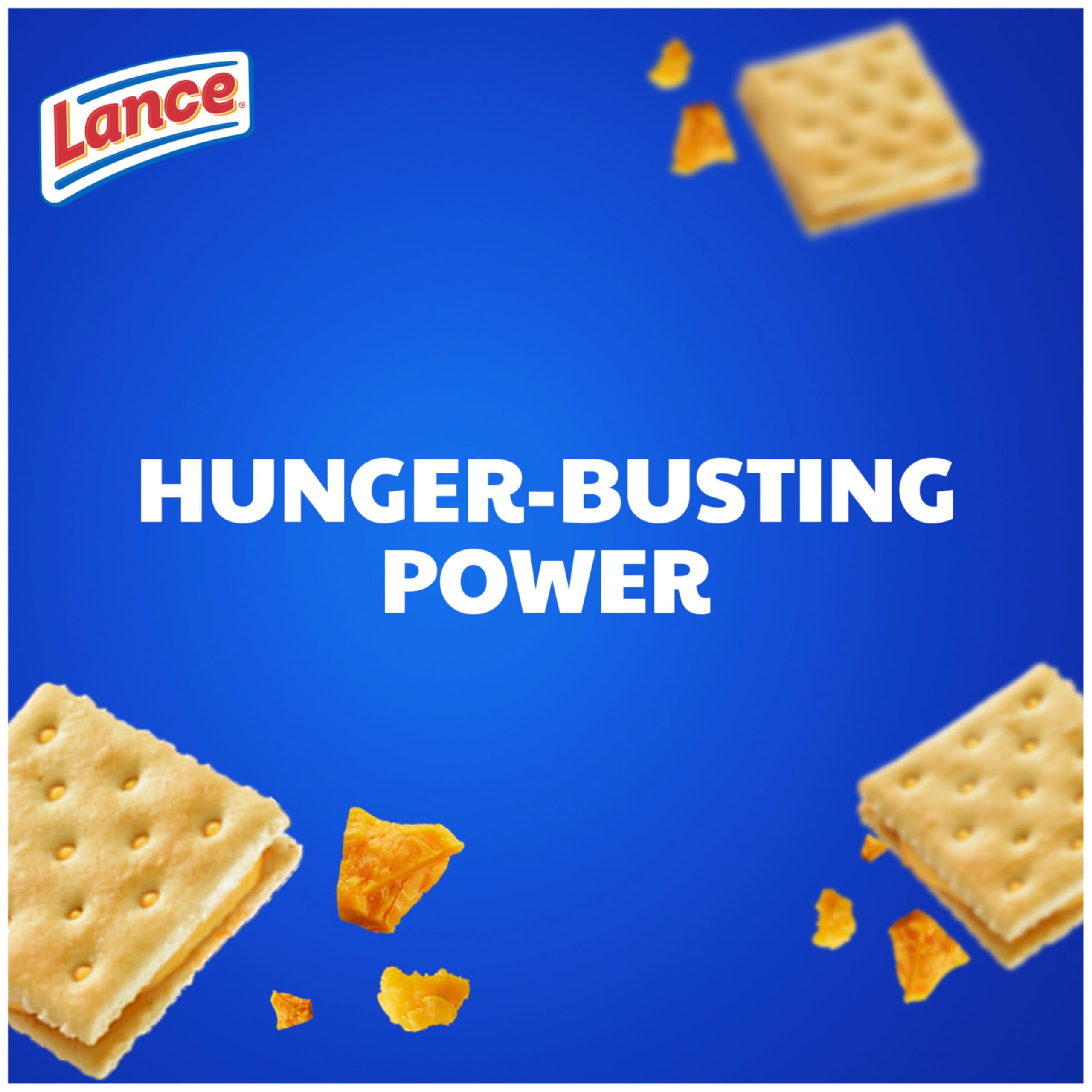 Lance sandwich crackers lunchbox snack presentation