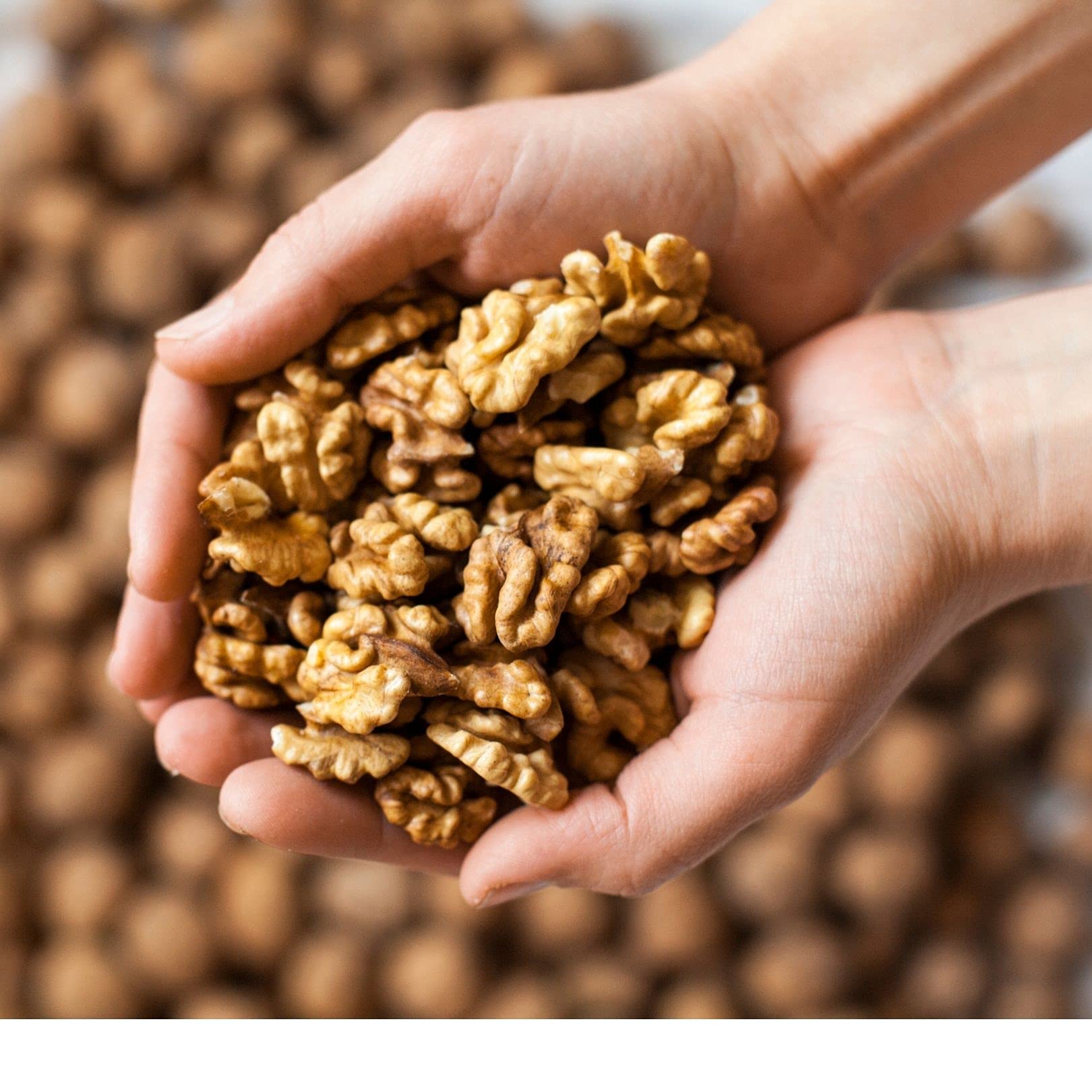 Lark Ellen Farm sprouted walnuts unsalted trail mix plate, gluten free snack