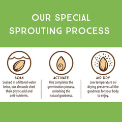 Lark Ellen Farm sprouted cashews on a plate illustrate versatile snack options.