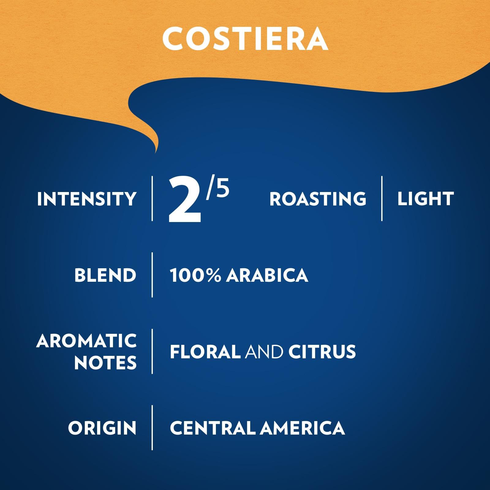 Close-up of Lavazza Costiera Gran Aroma ground coffee from Central America