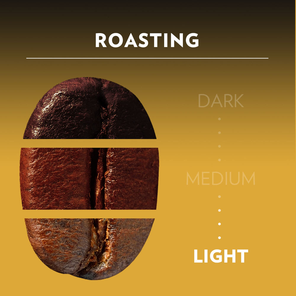 Lavazza sustainably sourced Arabica beans for a responsible cup