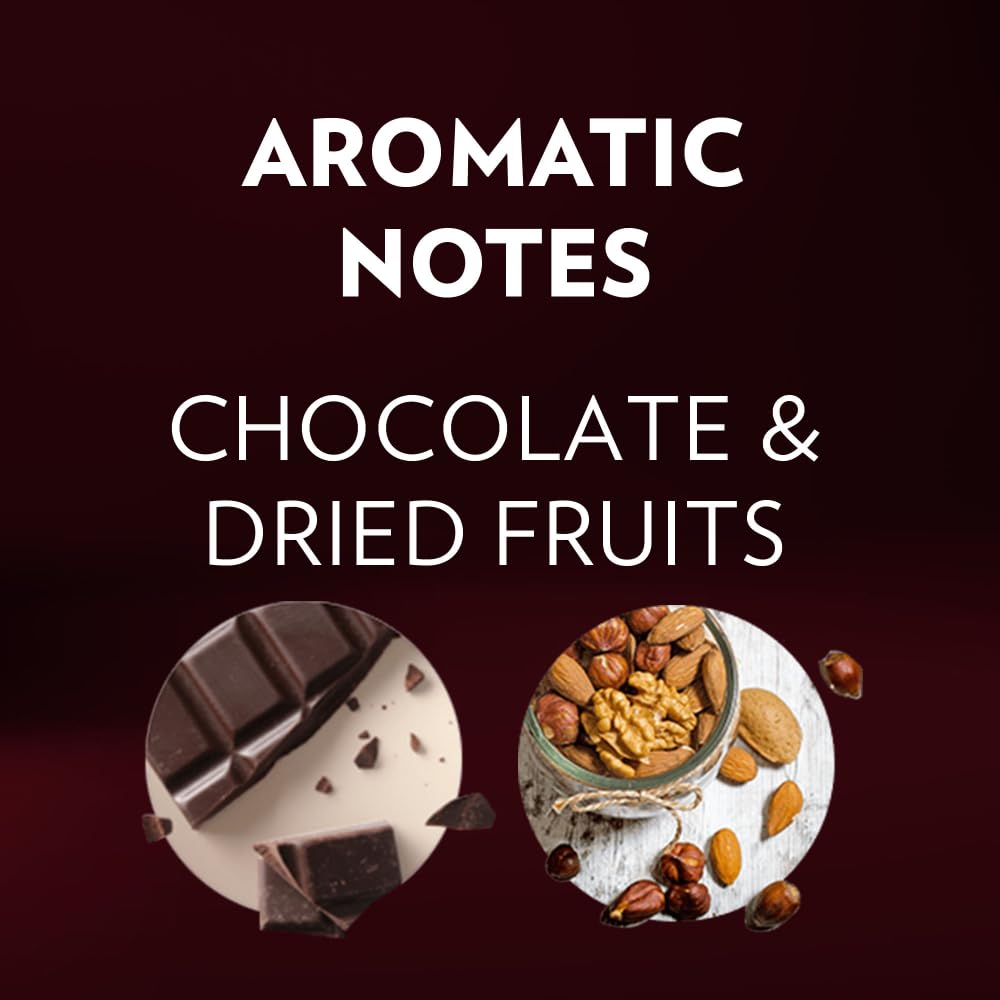 Lavazza Expert Classico capsule close-up – notes of chocolate and dried fruit add depth.