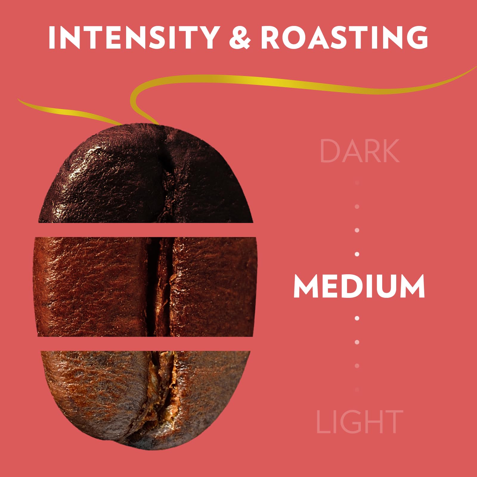 Lavazza Gran Crema espresso beans release rich aroma for daily brewing.