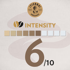 Lavazza Tierra for Planet coffee beans close-up emphasizing quality for consistent brews