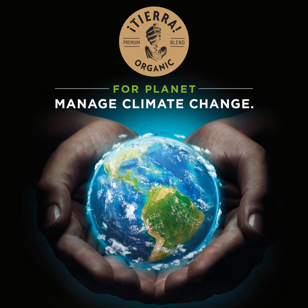 Lavazza Tierra for Planet Rainforest Alliance logo on packaging