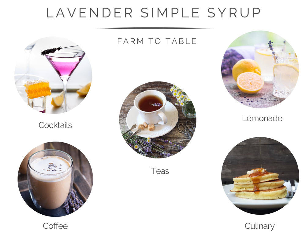 Lavender Lane Lavender Syrup cocktail glass illustrating versatile floral flavor.