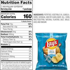 Lay's Salt & Vinegar on-the-go snack ready for travel.