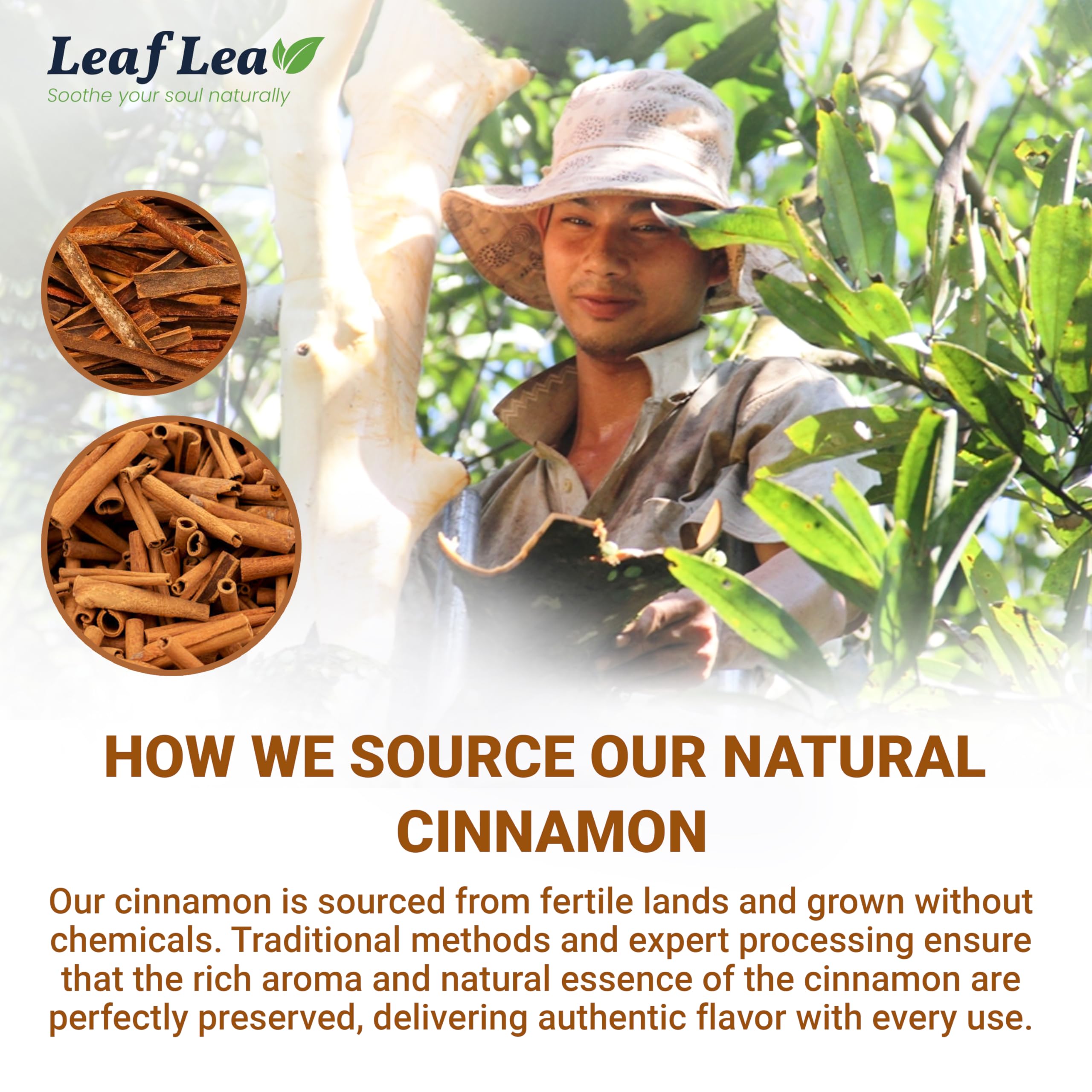 LeafLea Cinnamon Tea Bags gift box appeals to tea lovers.