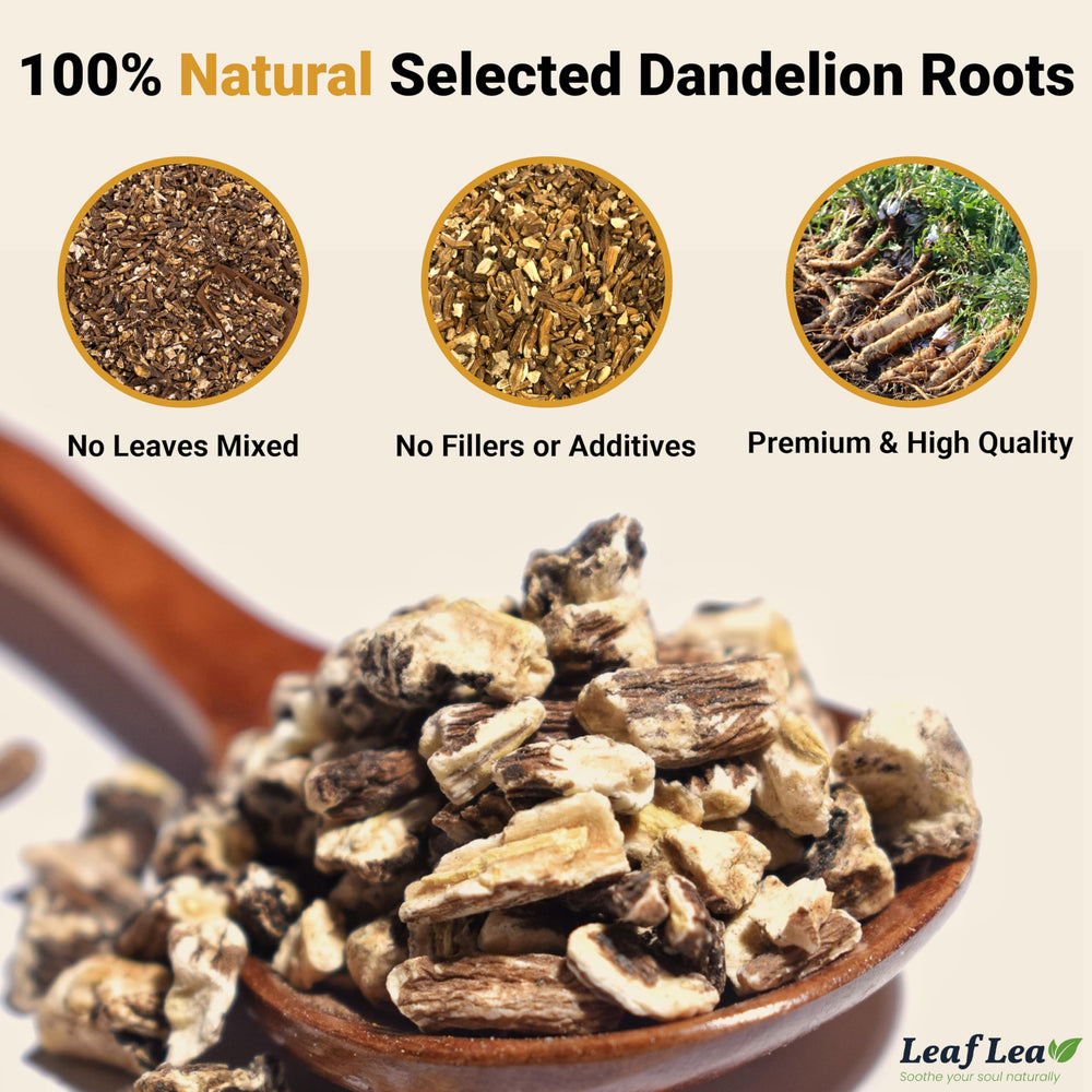 LeafLea dandelion tea bag close-up highlighting natural roots and pure flavor.