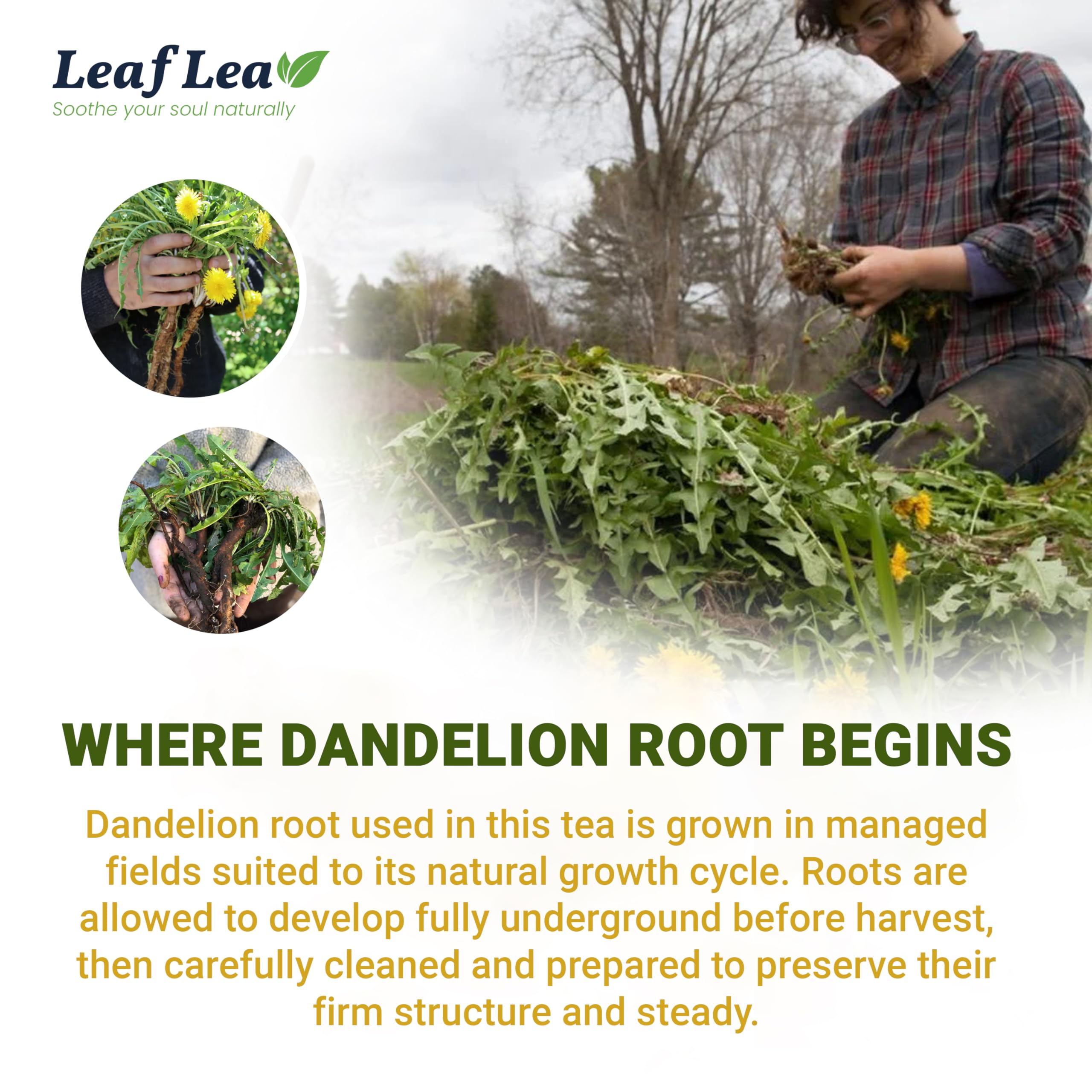 LeafLea vegan tea label indicating plant-based, sugar-free enjoyment.