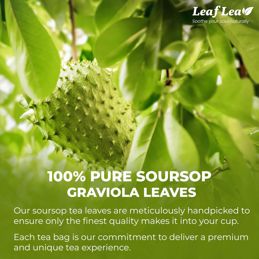 LeafLea Graviola leaf tea close-up showing natural drying and gentle infusion.