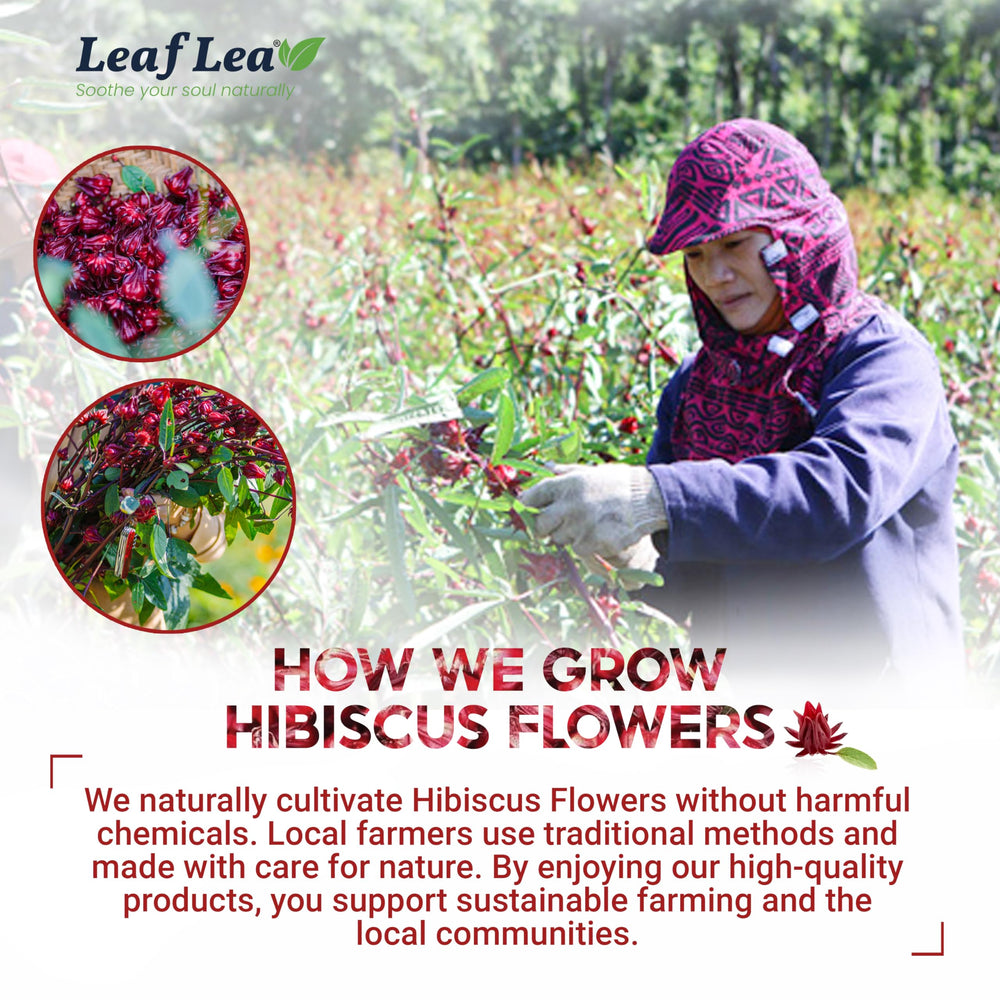 LeafLea hibiscus tea bags are vegan gluten-free non-GMO friendly