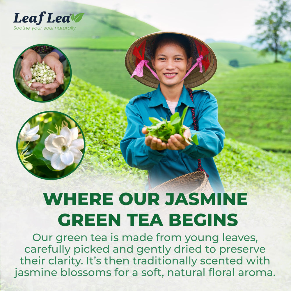 LeafLea Jasmine Green Tea brew glows with a golden cup and smooth finish